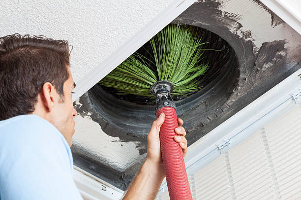 Best Affordable Air Duct Cleaning  in Lone Tree, IA